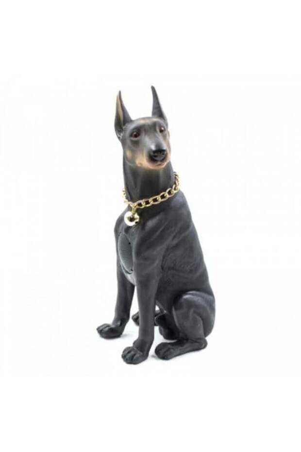 Portable Speaker Doberman, 10 W, Bluetooth - 1