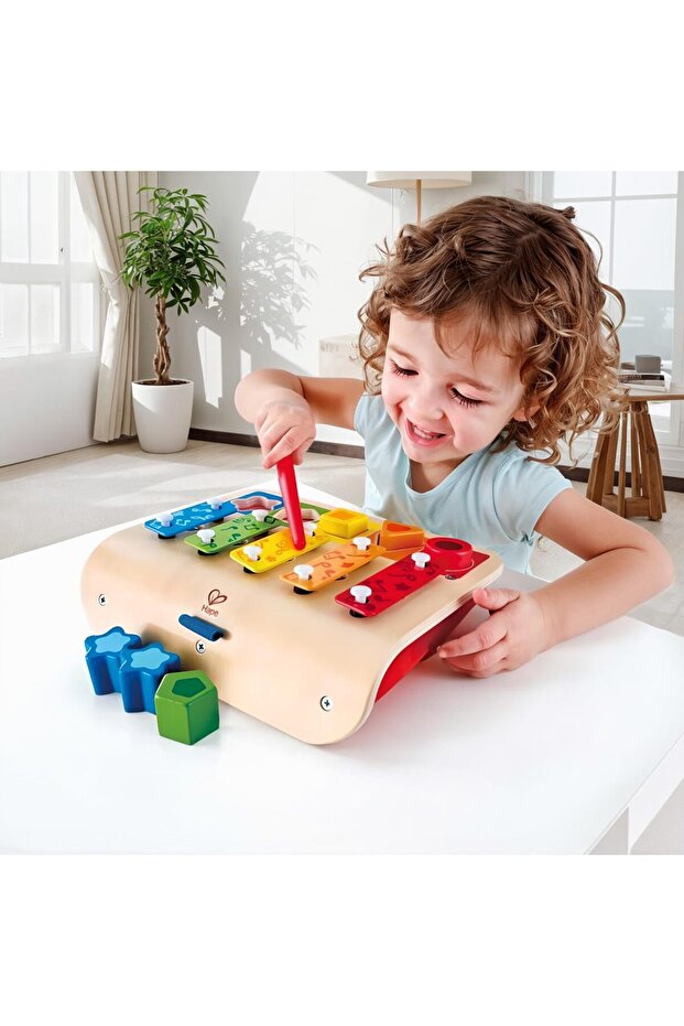 آلة فرز الأشكال إكسيليفون E0334 - 3