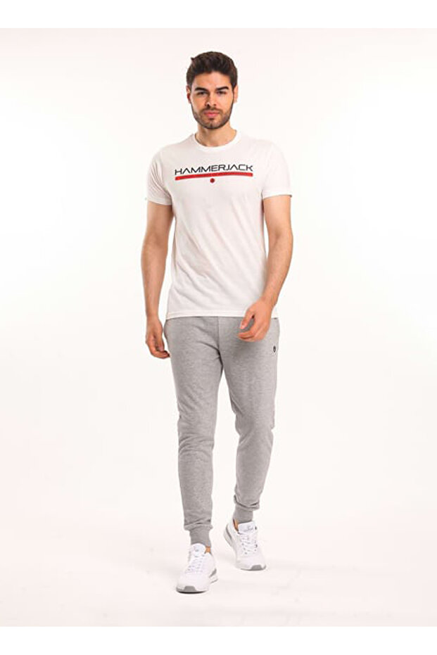 Dion Men's Tracksuit Bottom Gray Melange Regular Waist Standard Straight Men's Sweatpants
