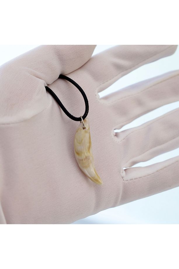 Kurt Dişi Kolye Siyah Deri İp Kayış 4x1cm Gerçekçi Görünüm Sert Reçine - 3