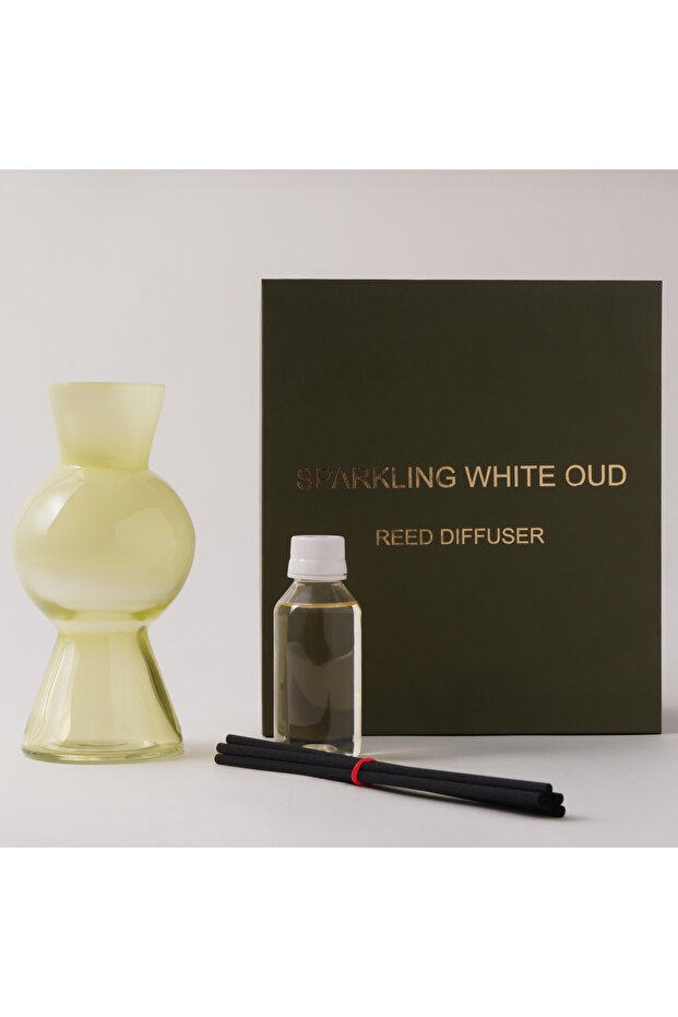 Homes 100ml Glass Perfume Diffuser with Sticks and Essential Oil White Oud Scent