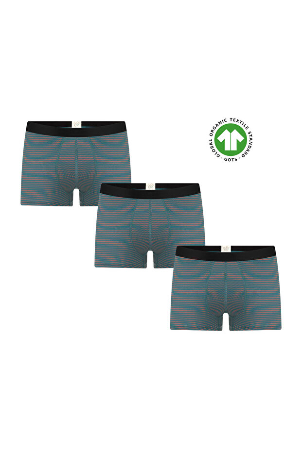 Gots Certified Organic Cotton Men's Trunk Boxer Underwear
