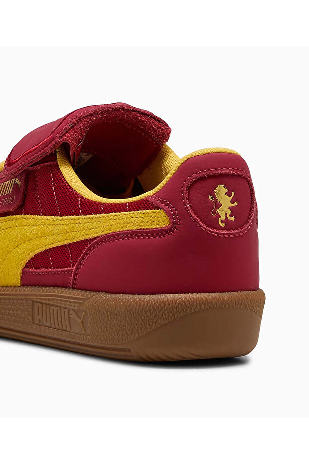 Palermo Harry Potter - 5