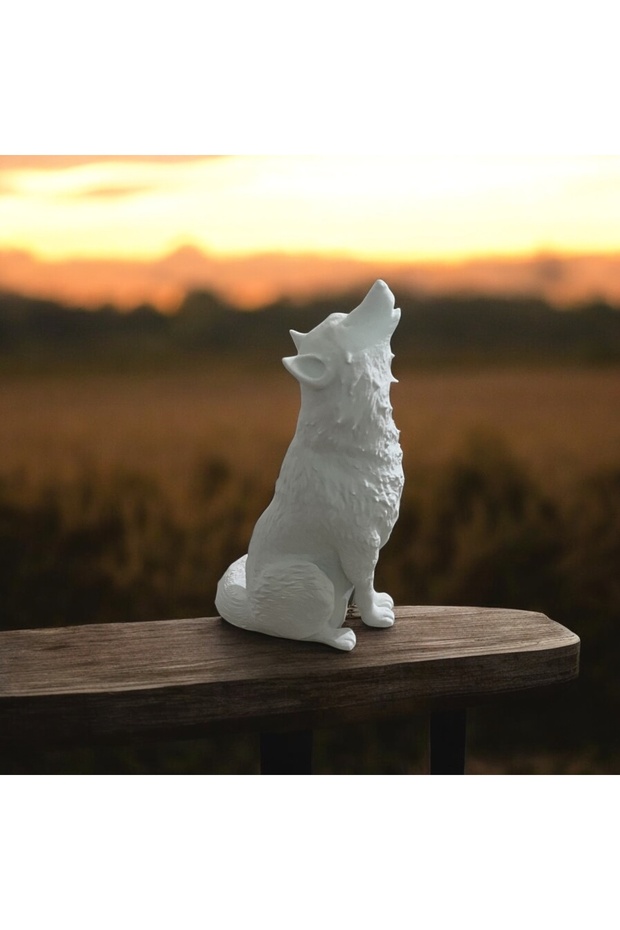 Boyama Seti Kurt - 1