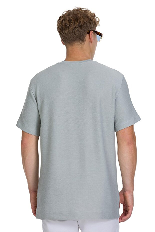 Gray Regular Fit Crew Neck Basic T-Shirt - 5