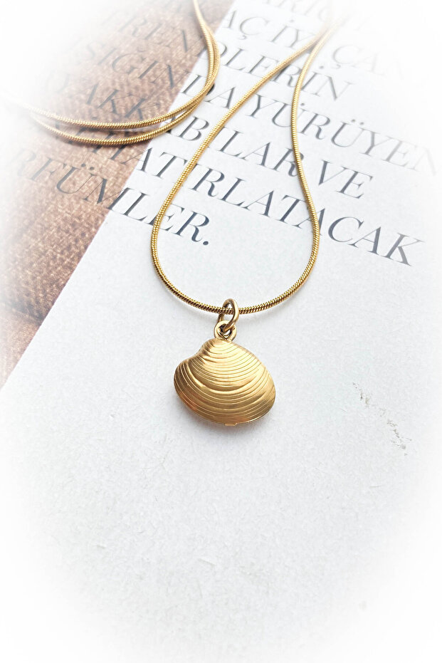 Deniz Kabuğu %100 Çelik Kolye - 1