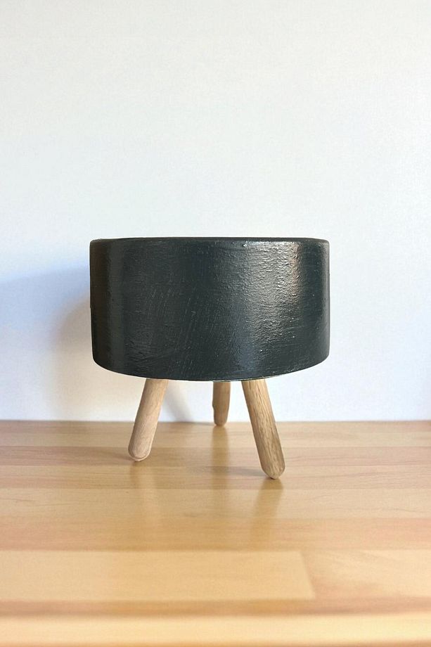 Kaktüs Aranjman Kaktüs ve Bonsai Saksı Saksılık - 2