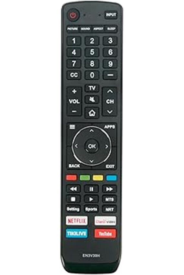 EN3V39H Remote for Hisense TV 55R6E 55H6080E 55R6000E 55H6E & More