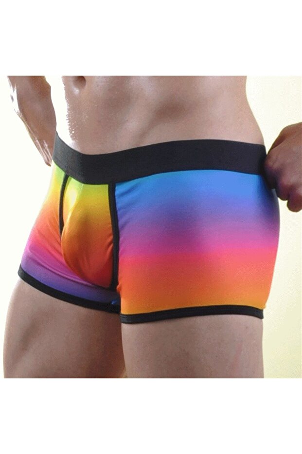 Renkli Erkek Boxer - 1