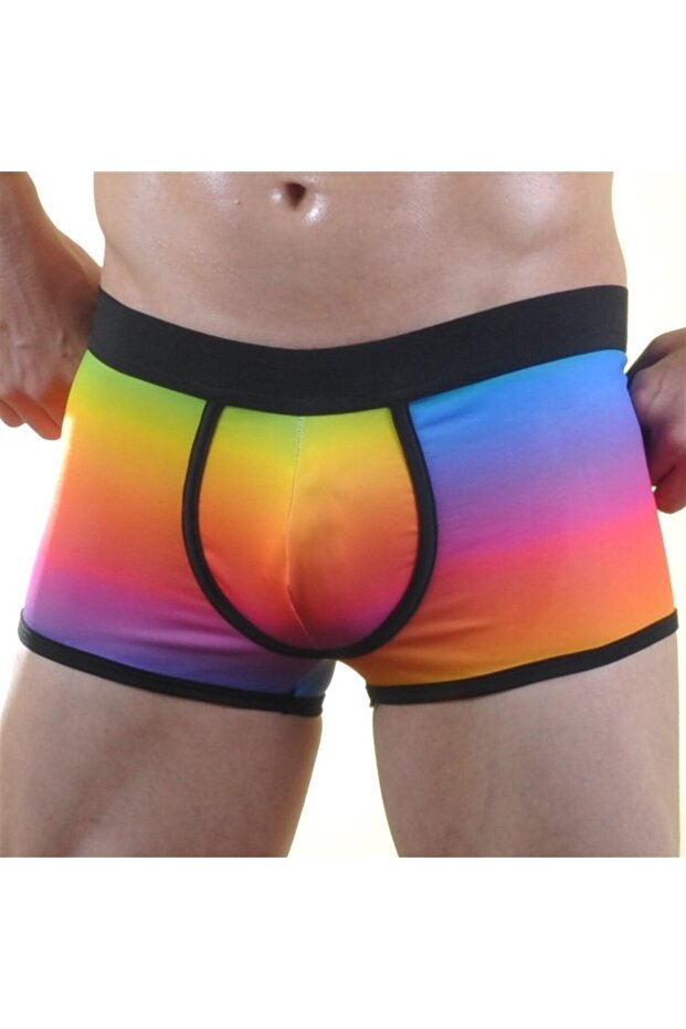Renkli Erkek Boxer - 2