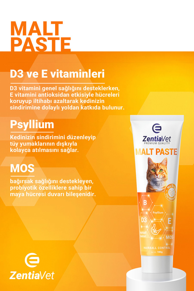 3 LÜ SET Kedi Maltı Malt Paste- Biovet-Multivet Saglık, Multivitamin Macun (3*100 gr) - 2