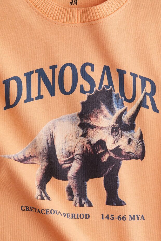 Baskılı Tişört - 2