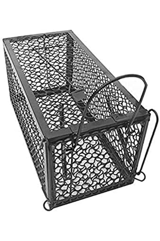 مصائد الفئران والجرذان الفعالة والسريعة - 2