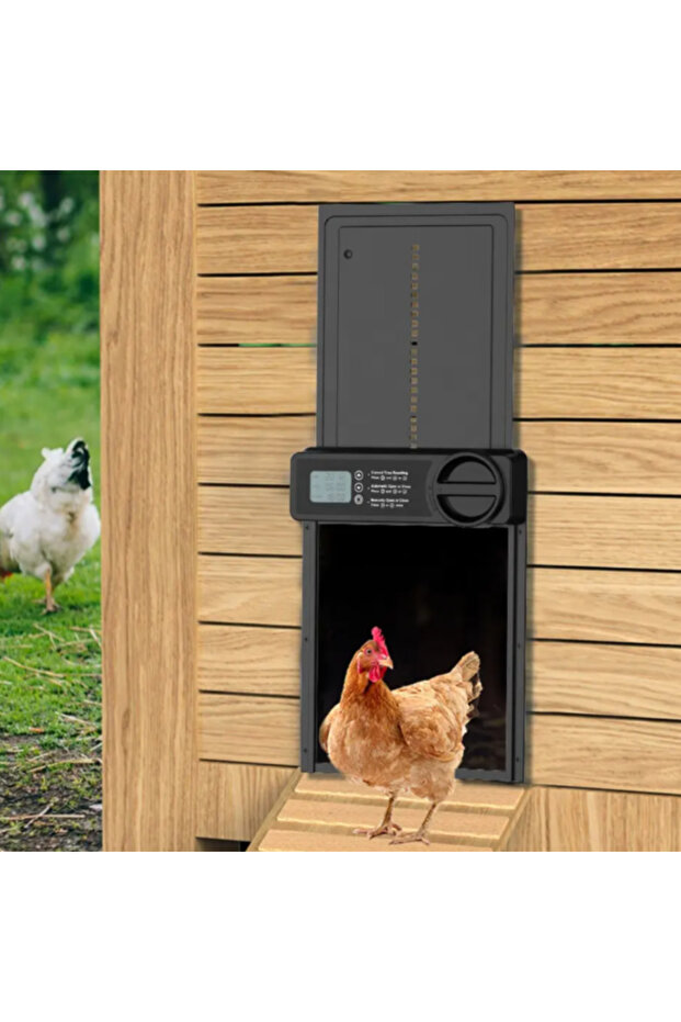 Automated Door for Poultry Coop, Adsinio,Programmable Timer for Automatic Opening and Closing,Black - 6