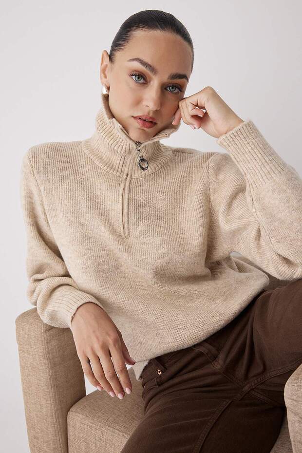 Wardrobe Essentials Stone Wool Premium Yarn Zippered Basic Knitwear Sweater | Twoaw26Kz000710