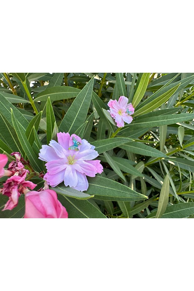 Lunaria Nova Bloom - 3’lü Ayakkabı Süsü - 7