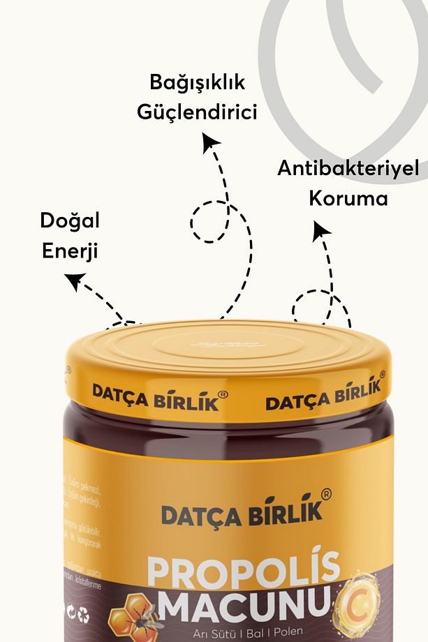 Propolis Macunu Arı Sütü Bal ve Polenli Propolis 240 gr. - 2