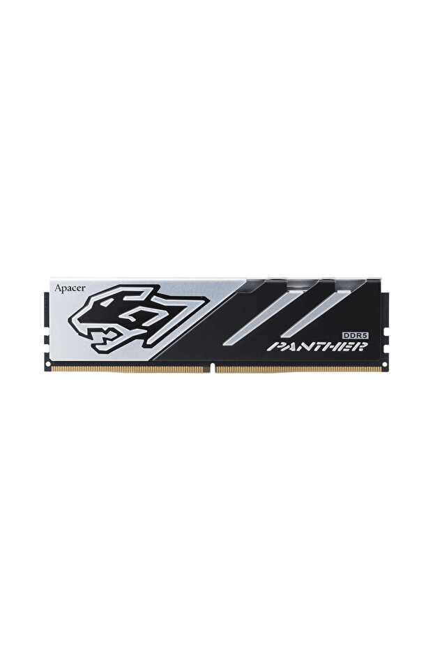 Panther 16GB 1x16GB 6000MHz CL38 DDR5 Gaming Ram (AH5U16G60C6227BAA-1) - 1