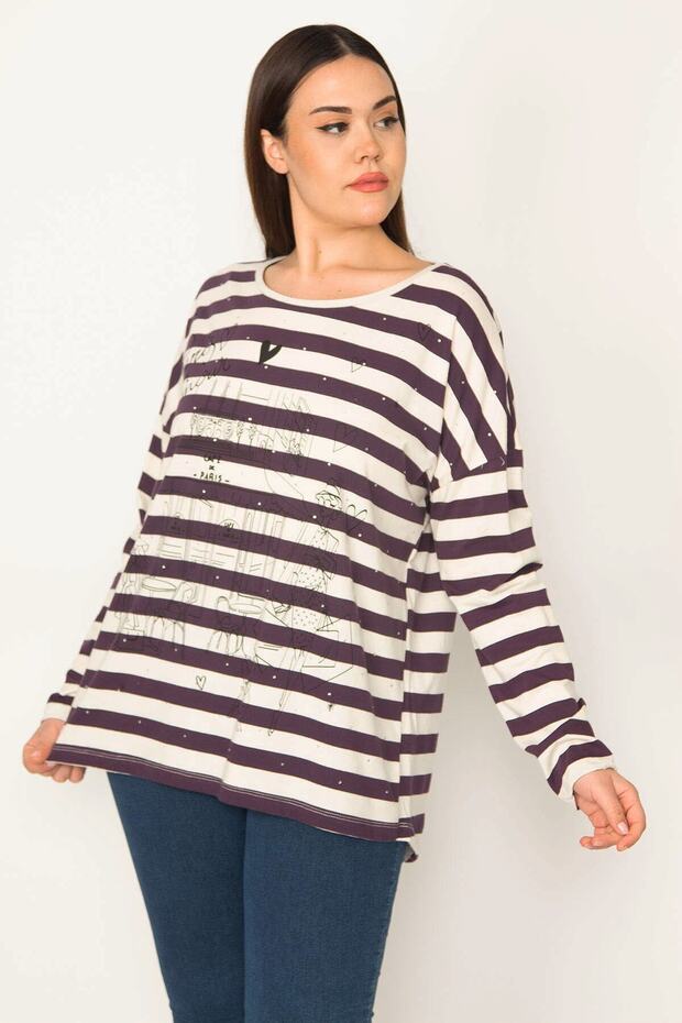 Women's Large Size Plum Stone and Print Detailed Low Sleeve Striped Tunic 65n31450