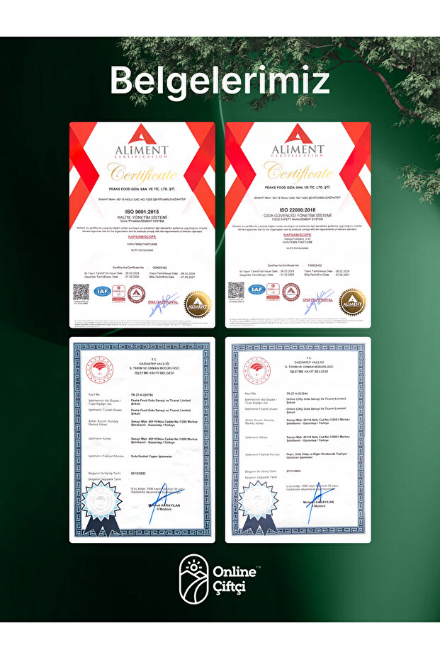 Kuş Üzümü 100Gr - 6