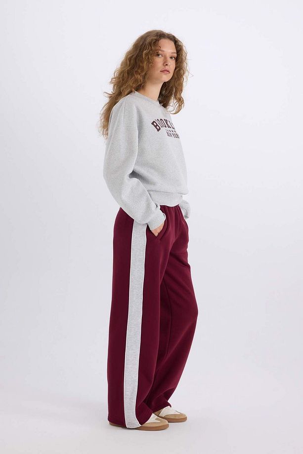 Regular Fit Kalın Eşofman Altı Beli Lastikli Basic Düz Geniş Bol Paça E4900AX24CW - 3