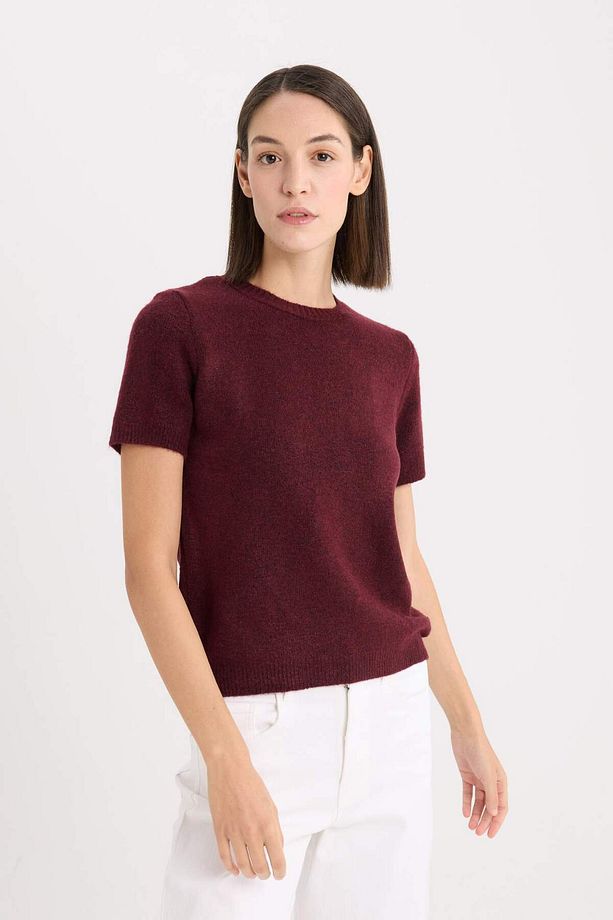Regular Fit Bisiklet Yaka Basic Düz Triko Kısa Kollu Tişört  Kazak E3214AX24WN - 4
