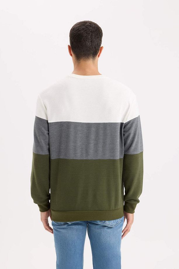 Regular Fit Bisiklet Yaka Jakarlı Sweatshirt D5393AX24AU - 6