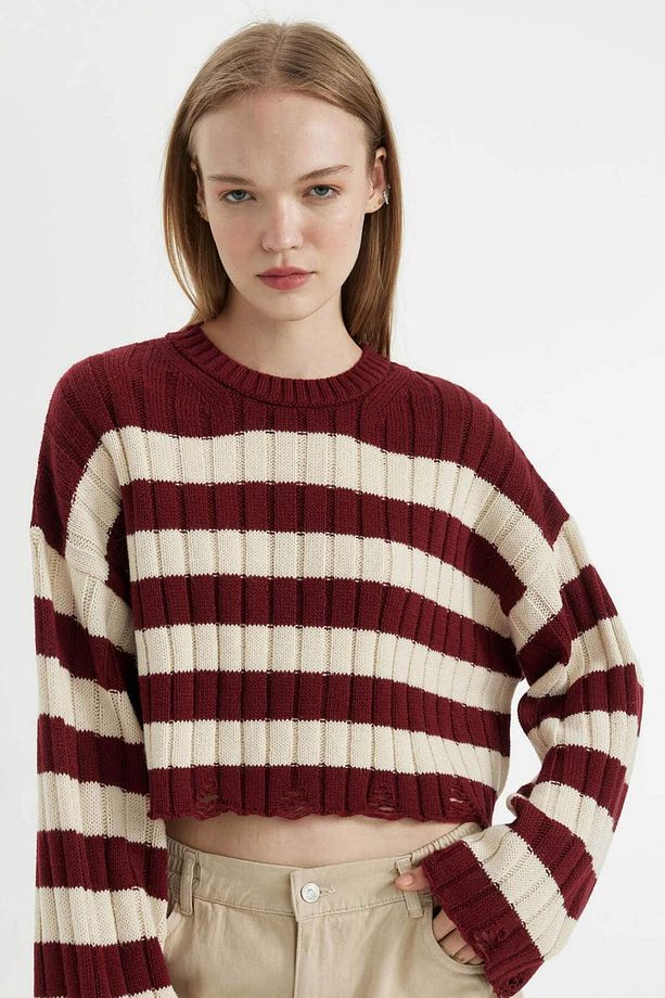 Regular Fit Çizgili Bisiklet Yaka Crop Triko Kazak A8152AX24WN - 1
