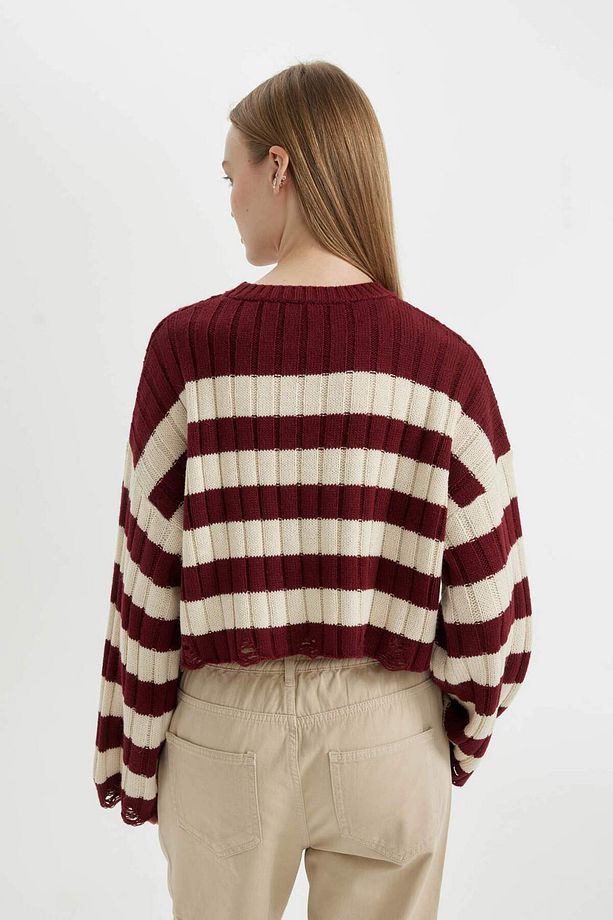 Regular Fit Çizgili Bisiklet Yaka Crop Triko Kazak A8152AX24WN - 6
