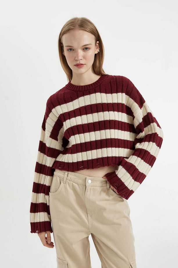 Regular Fit Çizgili Bisiklet Yaka Crop Triko Kazak A8152AX24WN - 3