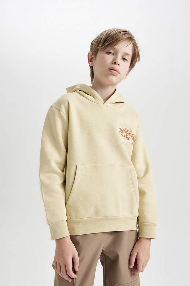Erkek Çocuk Kapüşonlu Sırt Baskılı Sweatshirt D3039A824WN - 4