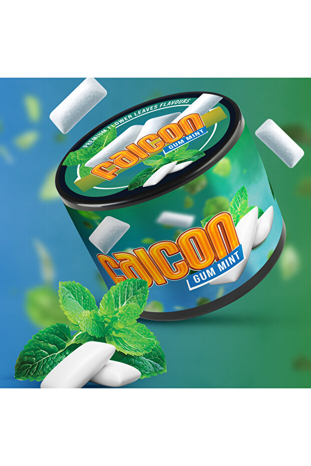 GUM MINT (250 GR.) - 1
