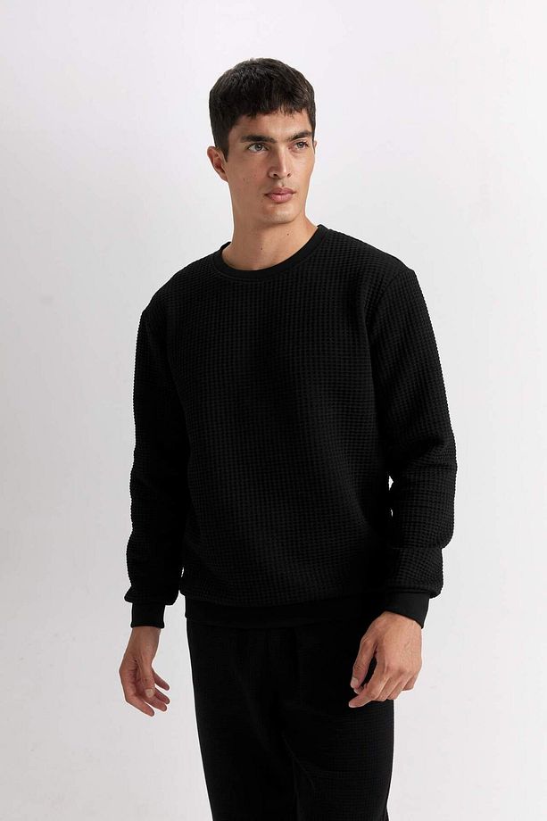 Regular Fit Bisiklet Yaka Jakarlı Sweatshirt D5392AX24AU - 4