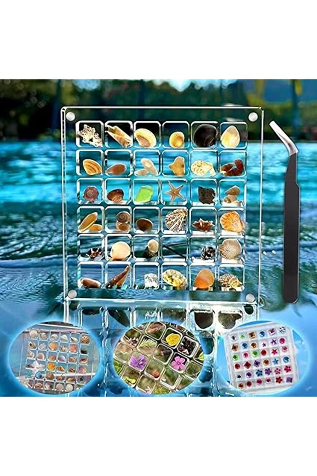 Seashell Display Box with 36 Grids, Acrylic Magnetic Storage for Jewelry, Beads & Crafts