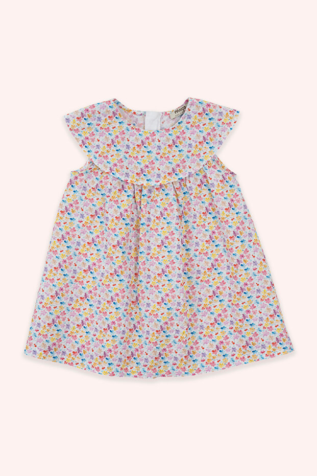 Baby Girl Floral Patterned Pink Dress