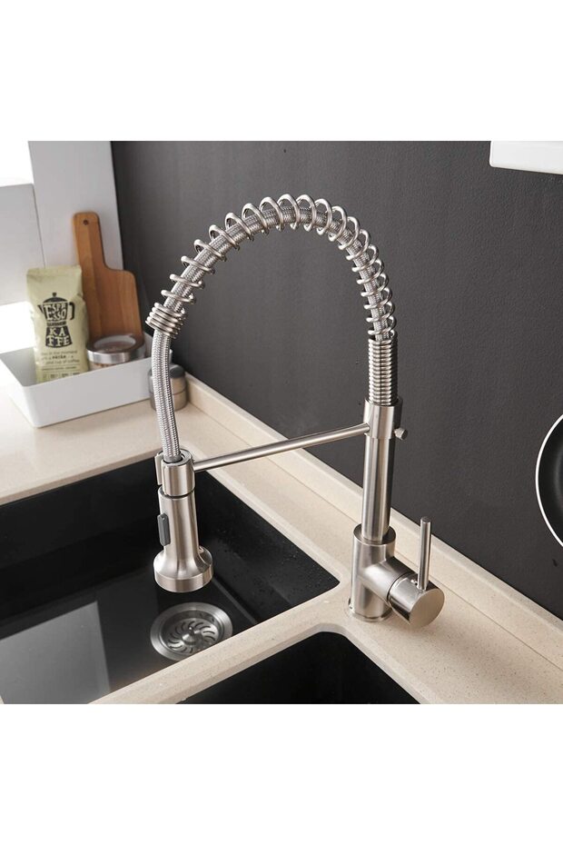 Professional faucet, with flexible shower, 2 water flow functions, code 1270 - 6