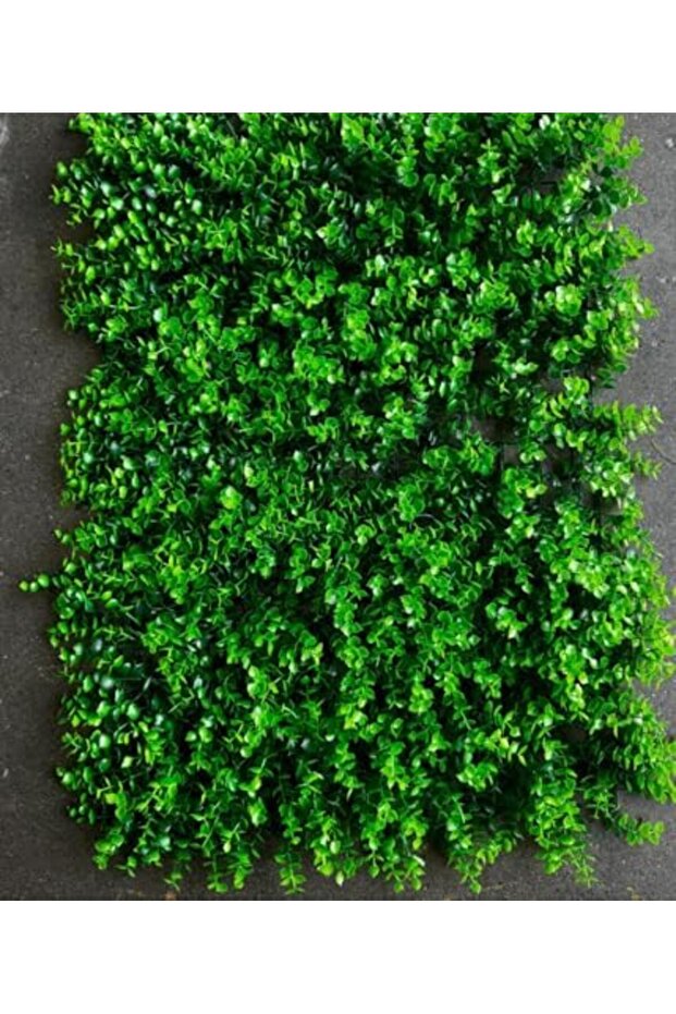 Artificial grass for interior - 1