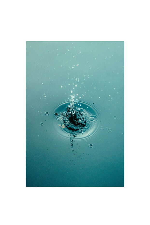 Simfonie Acvatica - 4