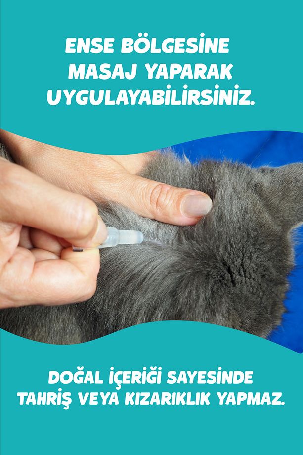 Kediler için Dış Parazit Pire Bit Kene Deri Bakımı Için Bitkisel Damla 5x1 ml - 4