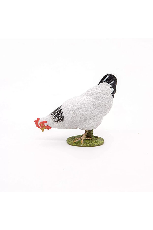 Άσπρο Ειδώλιο Κότας - 4