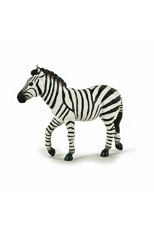 Φιγούρα ζέβρας - 1