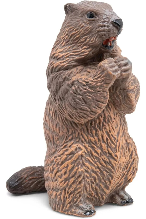 Φιγούρα κάστορα - 2