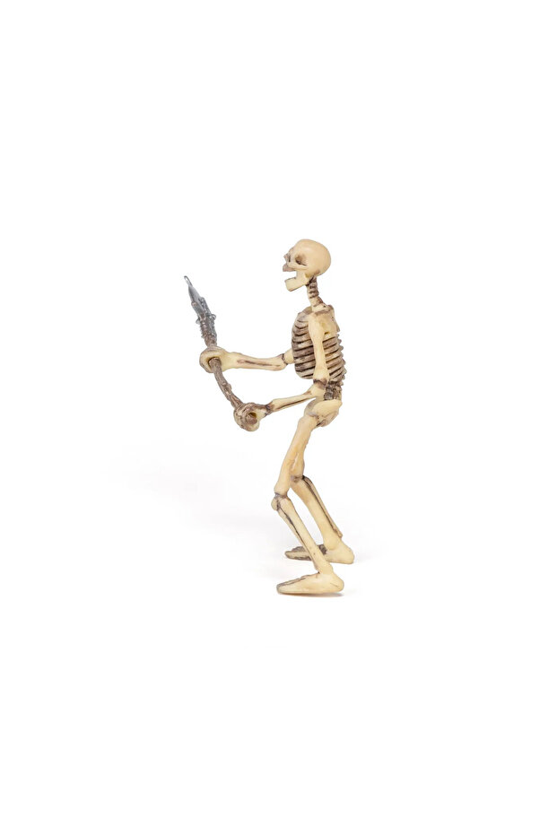 ΦΩΣΦΟΡΩΔΕΣ ΣΚΕΛΕΤΩΔΕΣ ΕΙΔΩΛΙΟ - 5