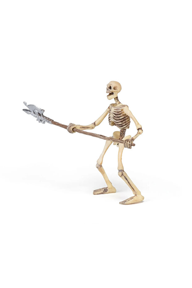 ΦΩΣΦΟΡΩΔΕΣ ΣΚΕΛΕΤΩΔΕΣ ΕΙΔΩΛΙΟ - 4