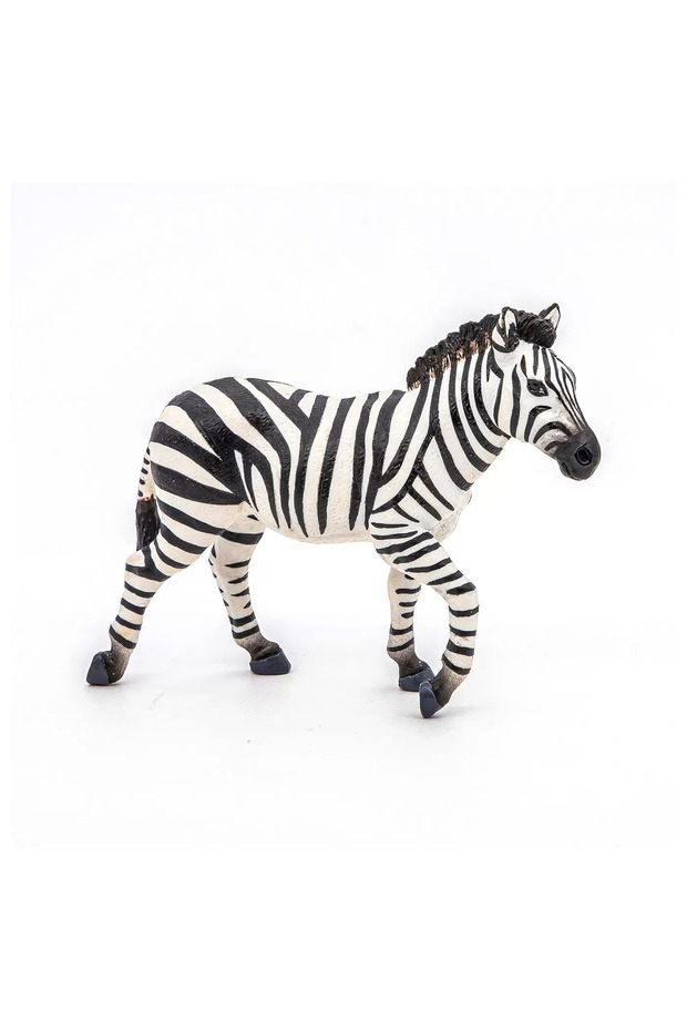 Φιγούρα ζέβρας - 3