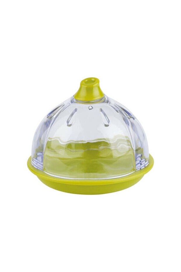 Container for Garlic Storage, Green - 3