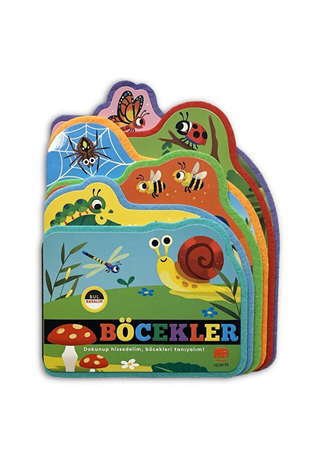 Find Bugs