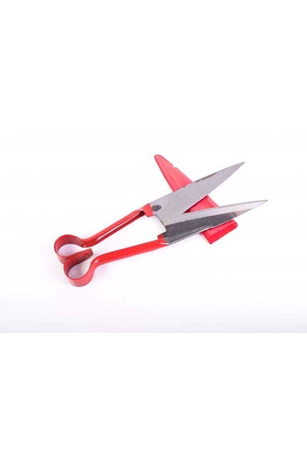 Sheep shears RED - 1