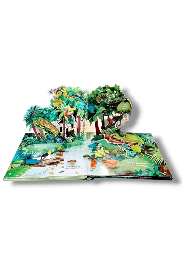 مملكة الحيوان - حيوانات الغابة ( كتاب 3D تفاعلي ) - 2