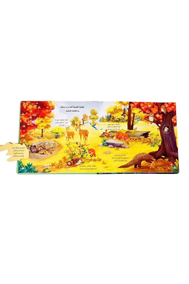 مملكة الحيوان - حيوانات الغابة ( كتاب 3D تفاعلي ) - 6